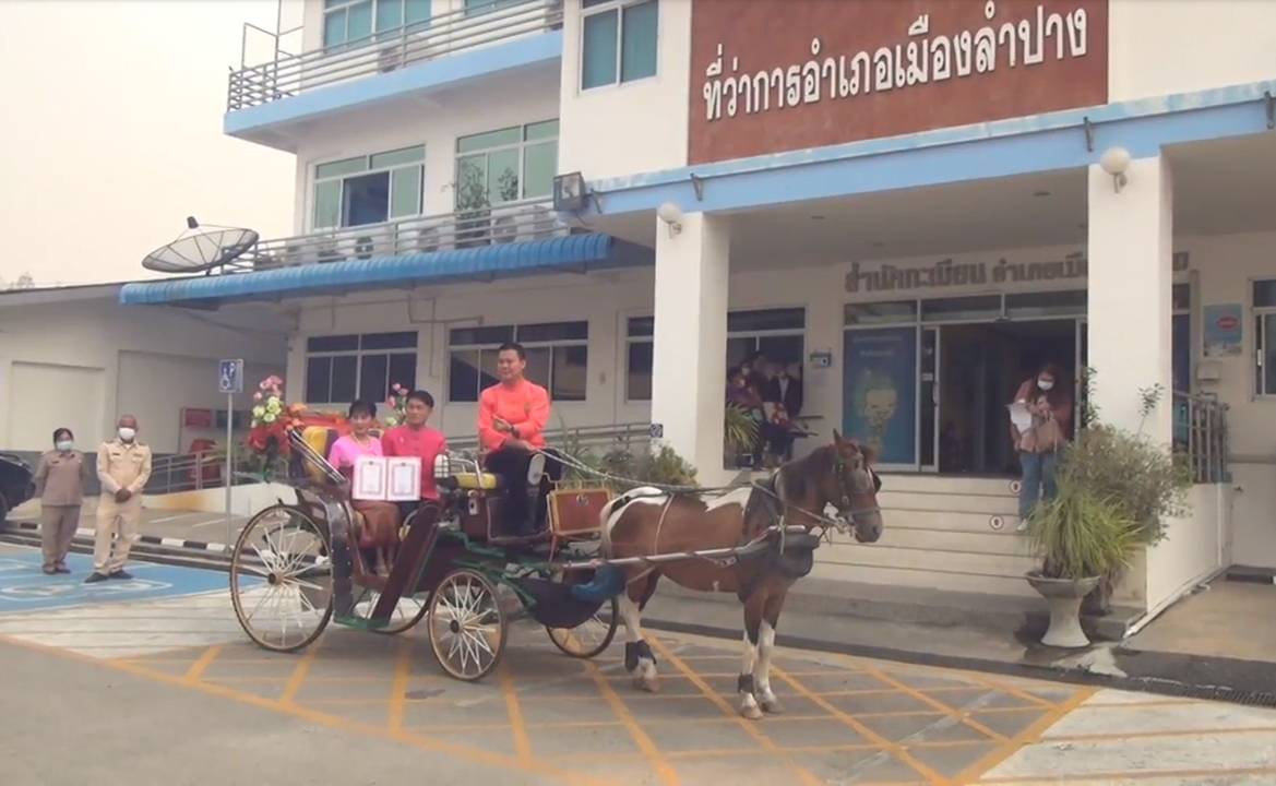 วาเลนไทน์เมืองรถม้าคึกคัก คู่บ่าวสาวจูงมือกันนั่งรถม้ามาจดทะเบียนสมรส