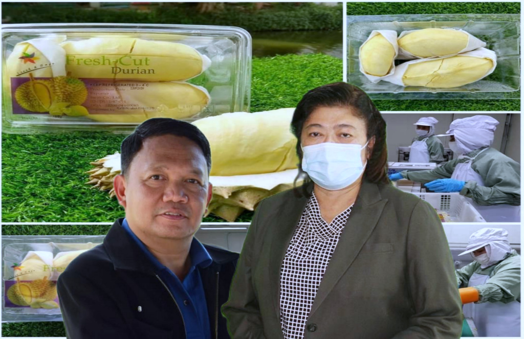 วช.หนุนม.นเรศวร ยืดอายุทุเรียนสดแบบแกะพู  หวังเจาะตลาดพรีเมียม "อเมริกา-ญี่ปุ่น-เกาหลีใต้"