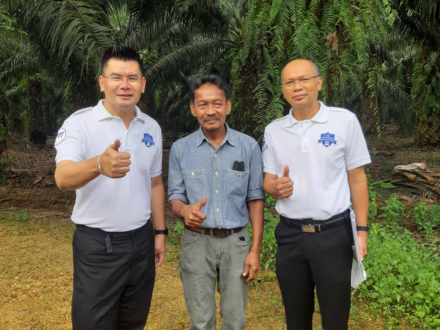 ส่องเทคนิคทำสวนปาล์มคุณภาพ”โสฬส เดชมณี” เพิ่มอินทรียวัตถุจากทางใบลดต้นทุนใช้ปุ๋ยเคมี