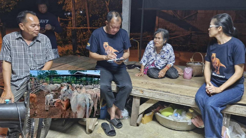 ชาวบ้านชายแดนฝากความหวังอธิบดีกรมปศุสัตว์คนใหม่ เร่งแก้ปมเบอร์หูโค-กระบือ ลักลอบนำเข้ายังไม่หมด