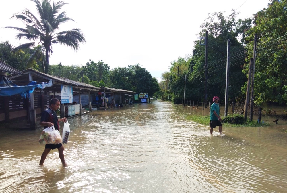 ฝนถล่มเมืองคอน! กรมชลฯ เร่งระบายน้ำท่วมขังพื้นที่ชุมชน