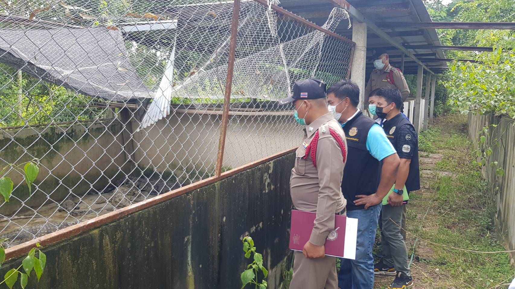 ประมงบุรีรัมย์-ตร.รุดตรวจฟาร์ม  หลังมีจระเข้โผล่ในทุ่งนาถึง 4 ตัว หวิดทำร้ายเจ้าของนา เร่งประสานมือล่า