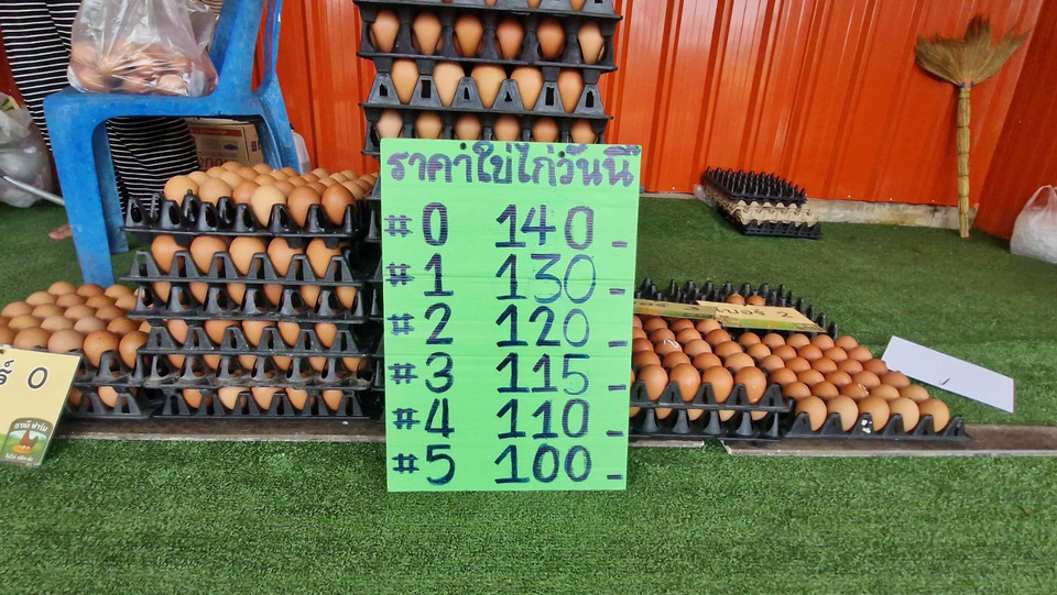 ไข่ไก่ราคาขึ้น! อาหลีฟาร์ม เมืองสตูลปรับกลยุทธ์เปิดหน้าร้านช่วยชาวบ้านฝ่าวิกฤติราคาสูง