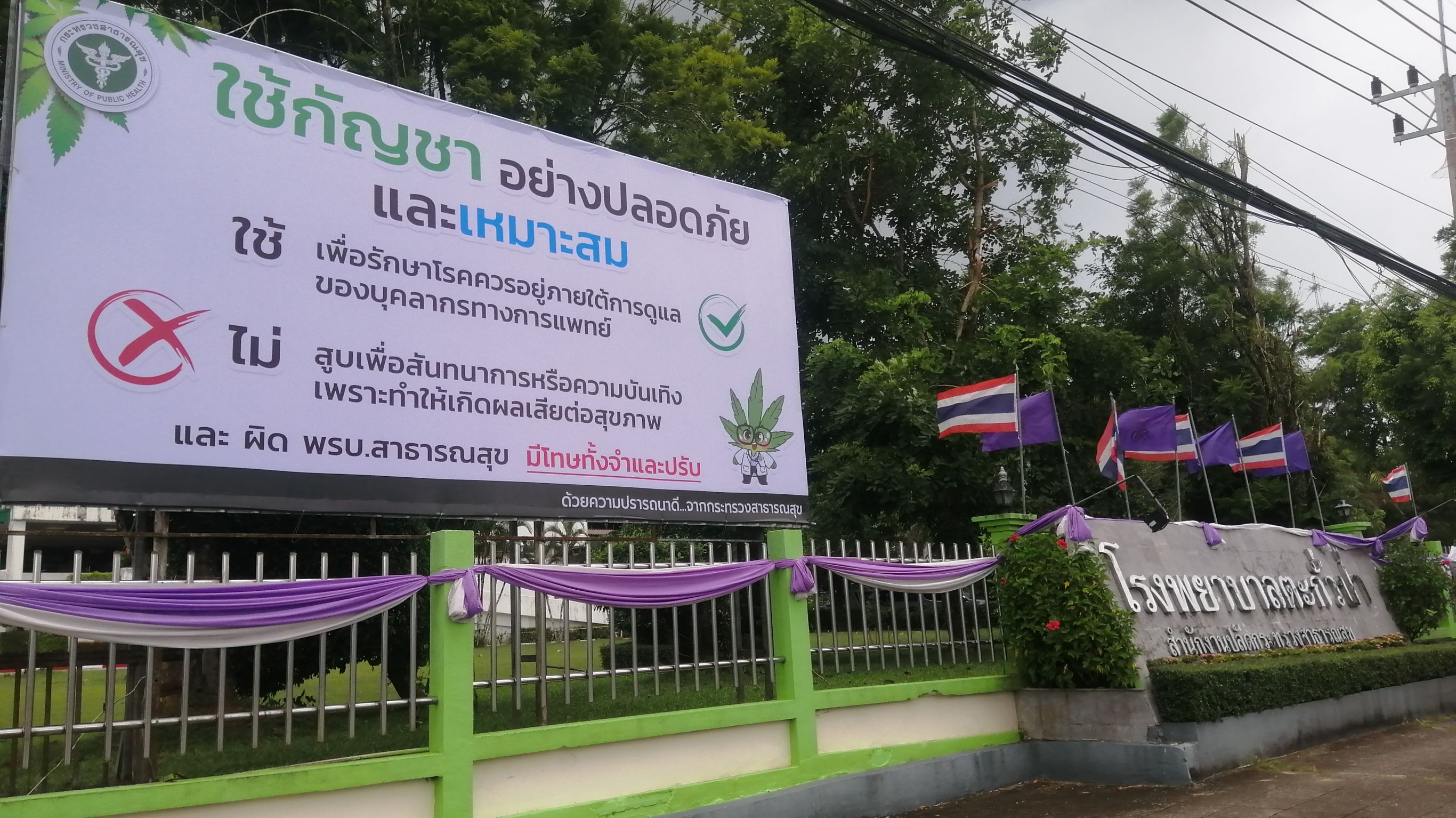  โรงพยาบาลตะกั่วป่าขึ้นป้ายเตือนผู้ใช้กัญชาเกินขนาด