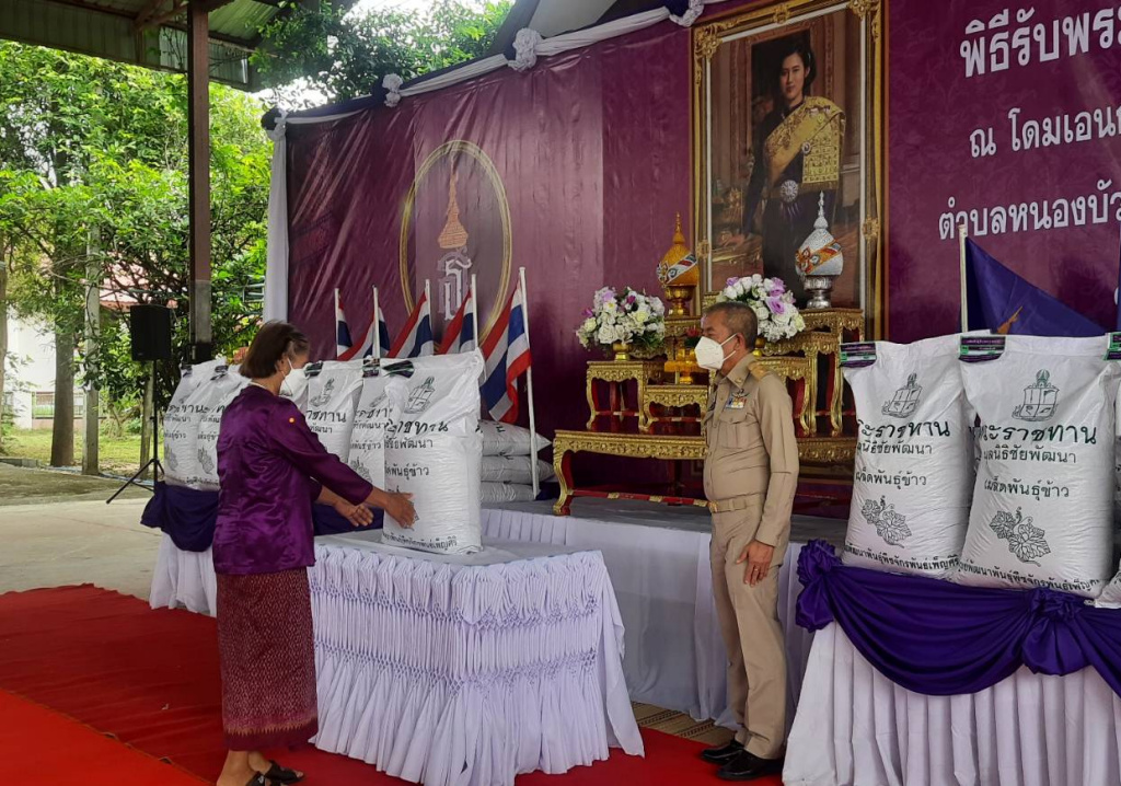 ผู้ว่าฯสุรินทร์ เป็นประธานมอบเมล็ดพันธุ์ข้าวพระราชทานแก่เกษตรกรที่ได้รับผลกระทบจากภัยธรรมชาติ