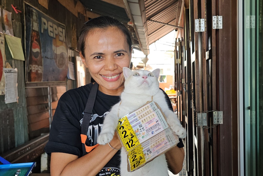 ทาสแมวเห็นแล้วใจฟู!! “น้องมะรุม” แมวขายลอตเตอรี่ เชียร์เลขเด็ดให้ลูกค้า  