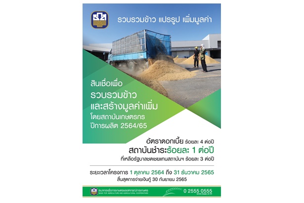 ยื่นได้เลย "ธ.ก.ส." ออกมาตรการสินเชื่อคู่ขนานพยุงราคาข้าว ลดความเดือดร้อนชาวนา วงเงิน 3.5 หมื่นล้าน                            