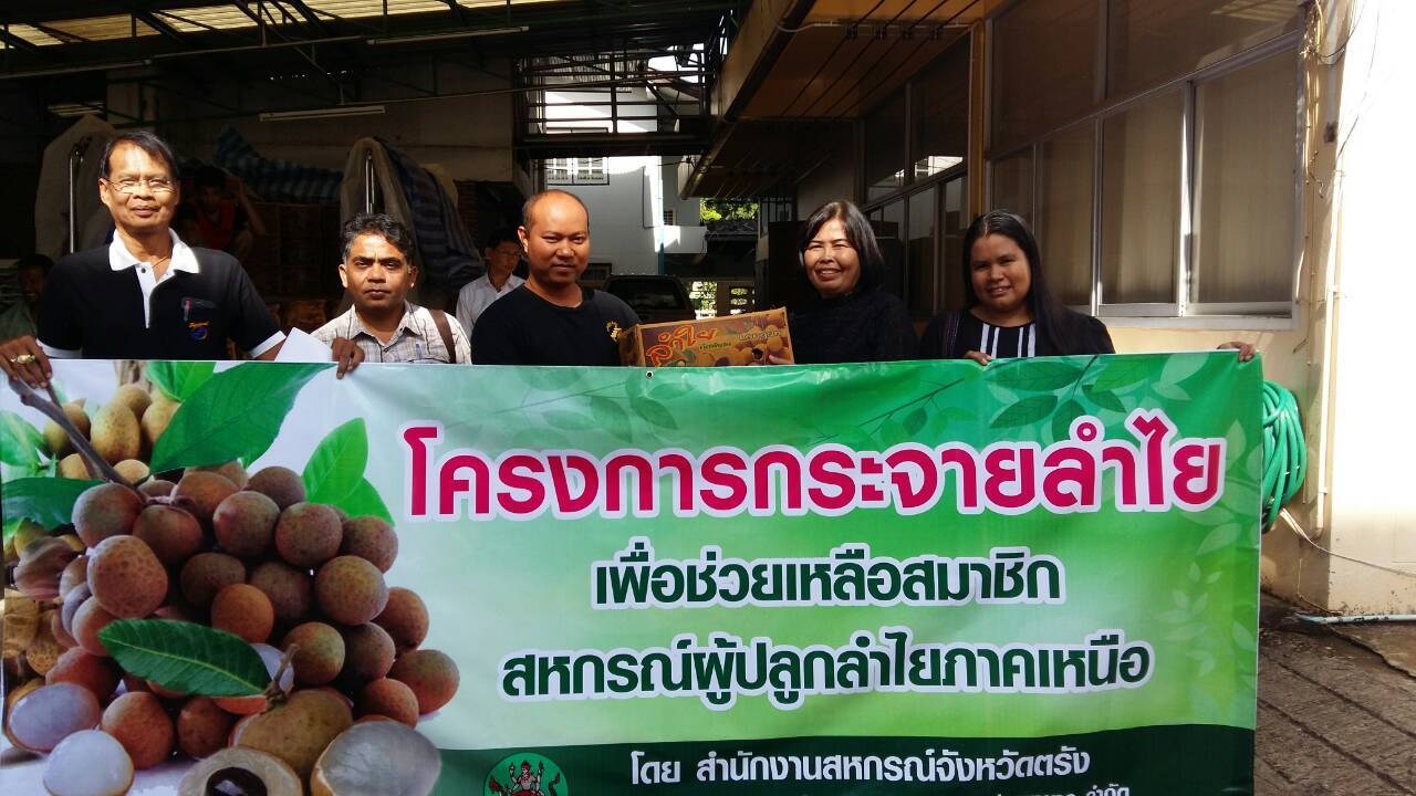 ขบวนการสหกรณ์ตรัง จับมือสหกรณ์ส่งเสริมเกษตรกรป่าซาง จำกัด เร่งกระจายผลผลิตลำไย 2.5 ตัน