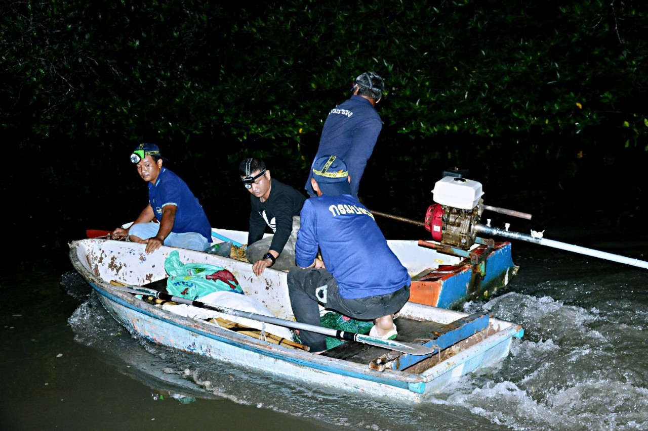 'ภูเก็ต'ปูพรมค้นหาจระเข้คืนที่2 ป่าชายเลนคลองเกาะผี ยังไร้เเวว คาดย้ายที่ซ่อนตัว