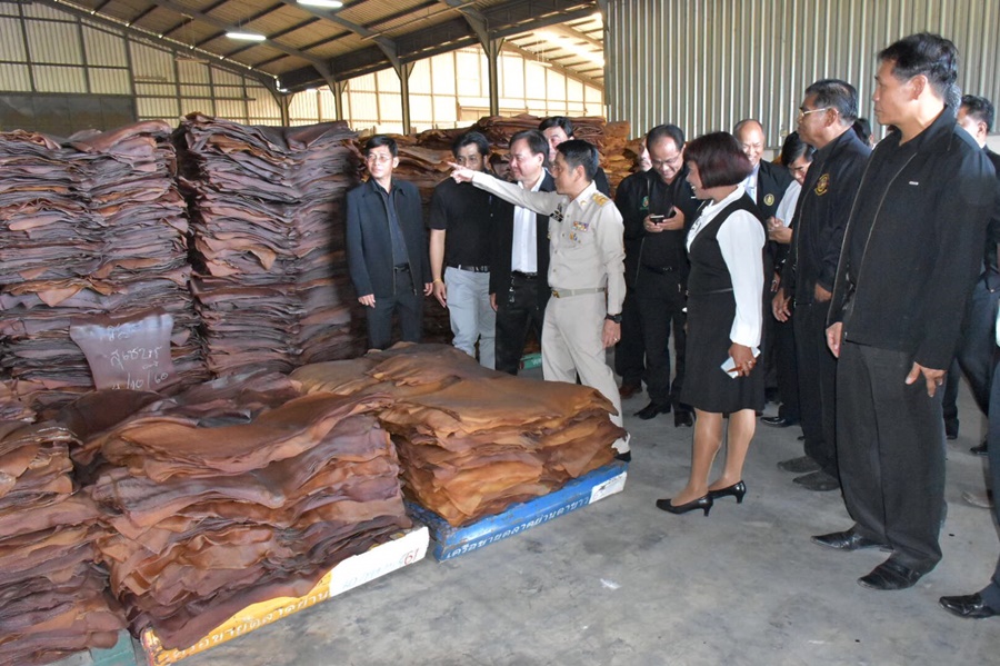 กยท.ตรัง จับมือตลาดกลางยางพาราสงขลา และสกก.ย่านตาขาว จก. เปิดตลาดเครือข่ายตลาดกลางยางพาราแห่งแรกของไทย