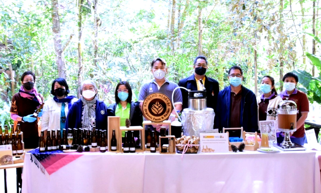 เขาค้อรุ่ง! วช. ดันวิจัยสู่ SMEs ผุดผลิตภัณฑ์จาก "ขิง" บุกตลาดสุขภาพ