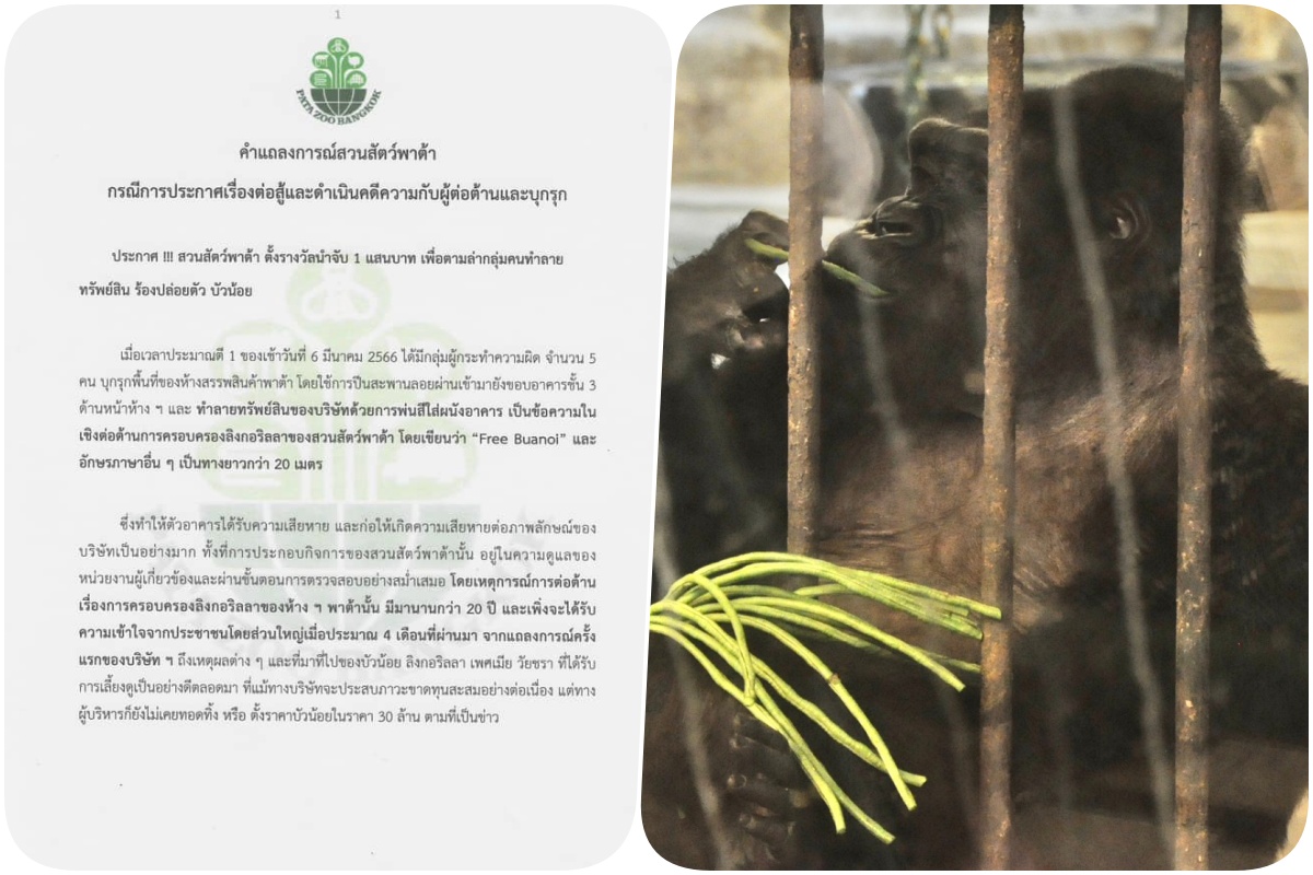 ด่วน! สวนสัตว์พาต้า ตั้งรางวัลนำจับ 1 แสนบาท ตามล่ากลุ่มคนทำลายทรัพย์สิน ร้องปล่อยตัว บัวน้อย