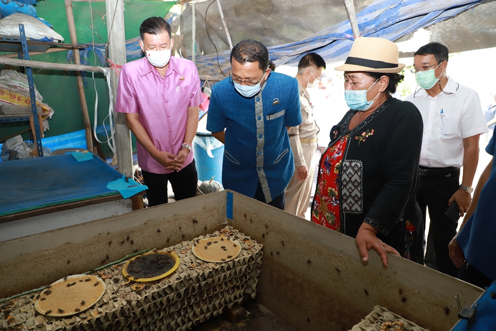 พ่อเมืองกรุงเก่า ลงพื้นที่ให้กำลังใจเกษตรกรผู้เลี้ยงจิ้งหรีด สร้างอาชีพเสริมรายได้ในพื้นที่อำเภออุทัย
