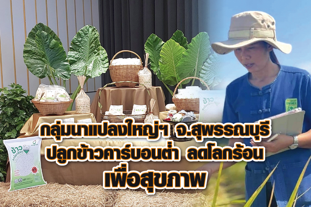 กลุ่มนาแปลงใหญ่ฯ จ.สุพรรณบุรี ปลูกข้าวคาร์บอนต่ำ ลดโลกร้อน เพื่อสุขภาพ