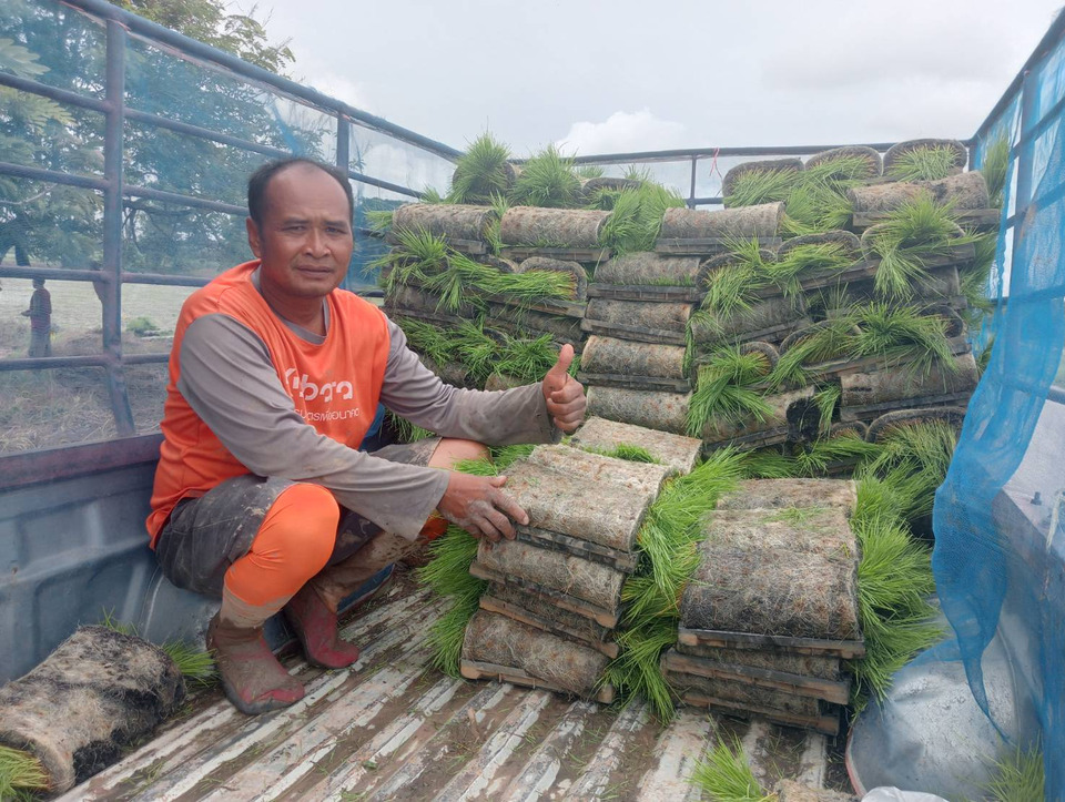 กาฬสินธุ์เปิดอาชีพใหม่สุดปัง! รับจ้างเพาะกล้า-รถดำนา ฟันรายได้ 2.6 แสนบาท