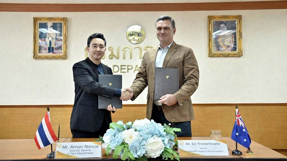 ข่าวดีชาวนา! กรมการข้าวจับมือทุนออสเตรเลีย นำร่อง “ข้าวคาร์บอนต่ำ” ปลูกได้แม้น้ำน้อย