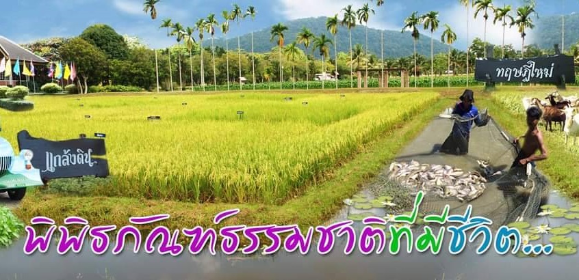 ศูนย์ศึกษาฯพิกุลทองฯ สืบสานงานพ่อ สานต่อพระราชปณิธาน บนฐานวิถีชีวิตใหม่