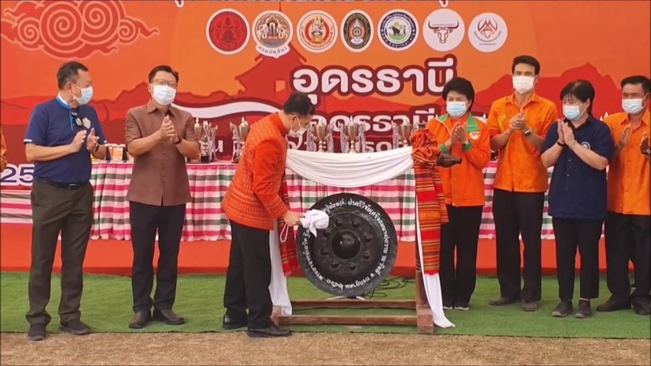 เริ่มแล้ว!! อุดรธานีจัดประกวดควายสวยงามชิงถ้วยพระราชทานกรมพระศรีสวางควัฒนฯ 
