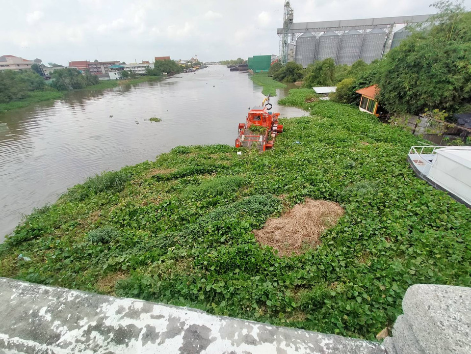 ภารกิจเร่งด่วน! ผังเมืองส่ง 12 เรือพิฆาต "ผักตบชวา" 1,700 ตัน/วัน กอบกู้วิกฤตน้ำท่วม "ท่าจีน" ก่อนวิกฤตหนัก