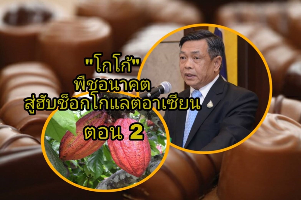 จากโกโก้พืชอนาคตสู่ฮับช็อกโกแลตอาเซียน ตอบโจทย์อุตสาหกรรมอาหารบนฐานเกษตรยุคโควิด ตอนที่ 2 