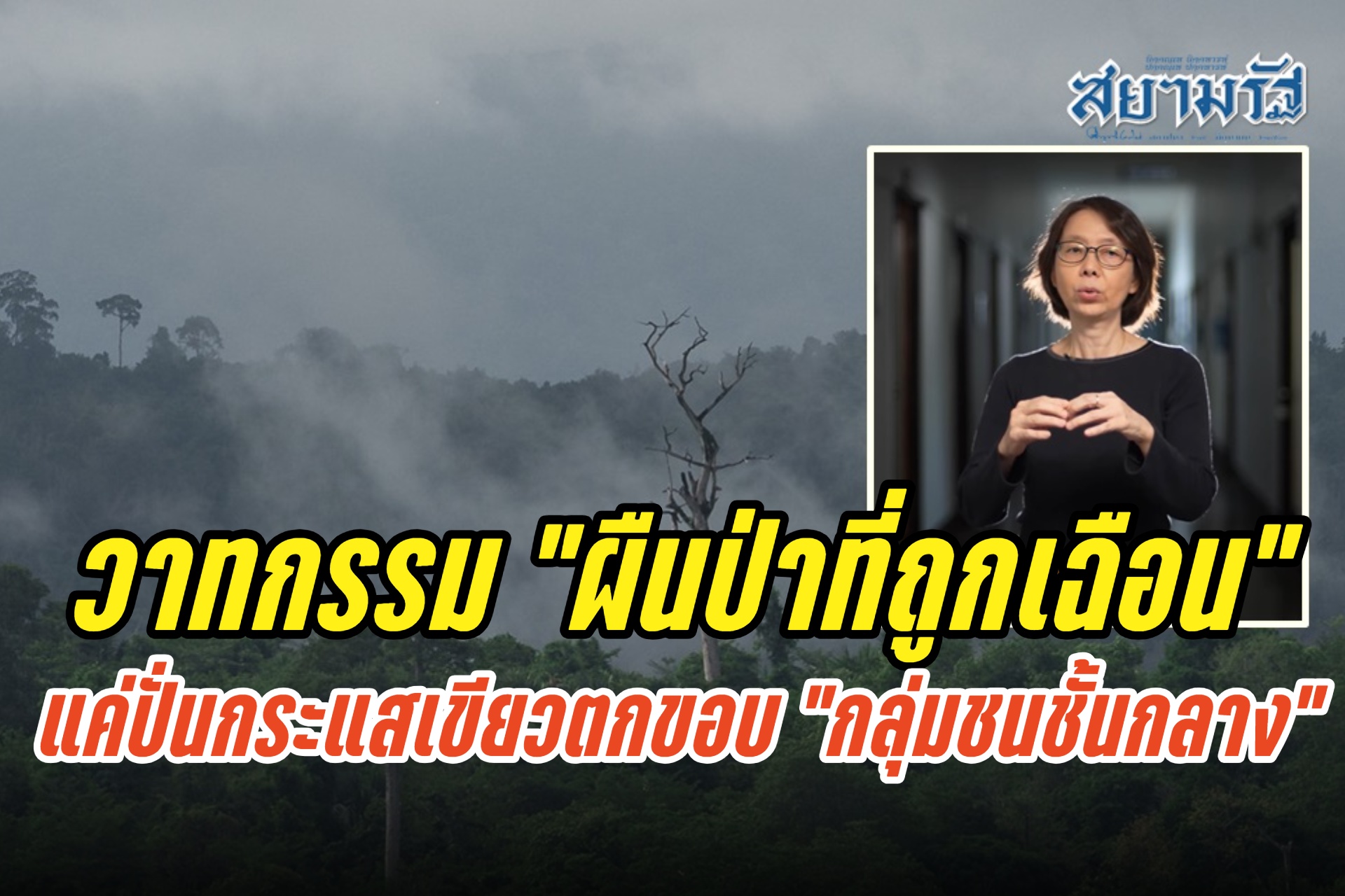 “ศ.ดร.ปิ่นแก้ว” มองวาทกรรม “ผืนป่าที่ถูกเฉือน” ของกลุ่มอนุรักษ์ แค่ปั่นกระแสเขียวตกขอบกลุ่มชนชั้นกลาง