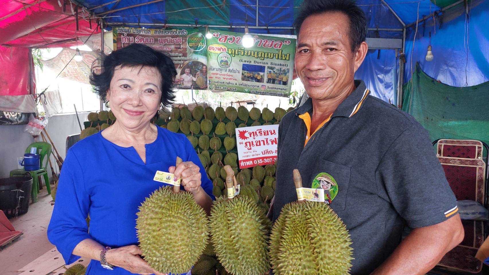 ดร.กัลยาณี นายกฯท่องเที่ยวศรีสะเกษพาสื่อชิมทุเรียนภูเขาไฟพันธุ์ใหม่  “ก้านทองหยิบ”