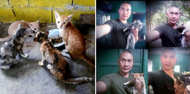 ละมุนมาก พี่ทหารดูแลน้องแมว 4 ตัว ที่ช่วยจากเรือไฟไหม้กลางทะเล อัพเดตน้องๆปลอดภัยดี (มีคลิป)