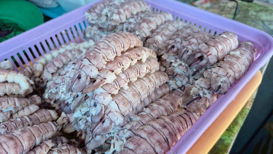 “กั้งแก้ว” แหลมตันหยงโปคึกคัก! สร้างรายได้-รักษ์โลก เปลือกทำปุ๋ย