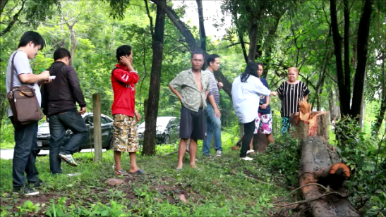 เหิมหนัก! แก๊งมอดไม้ลอบตัดไม้พะยูง 100 ปี ในรร.อุดรธานี 