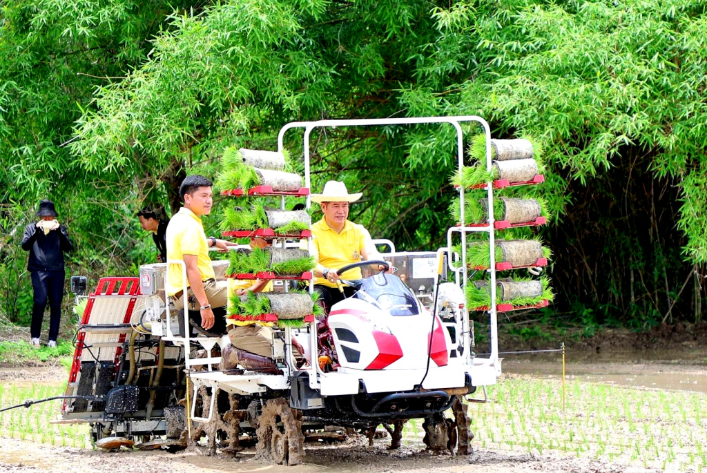 เปิด "แปลงนาศิลปะ 72 พรรษา" ถ่ายทอดเทคโนโลยีเพิ่มประสิทธิภาพผลิตเมล็ดพันธุ์ข้าว