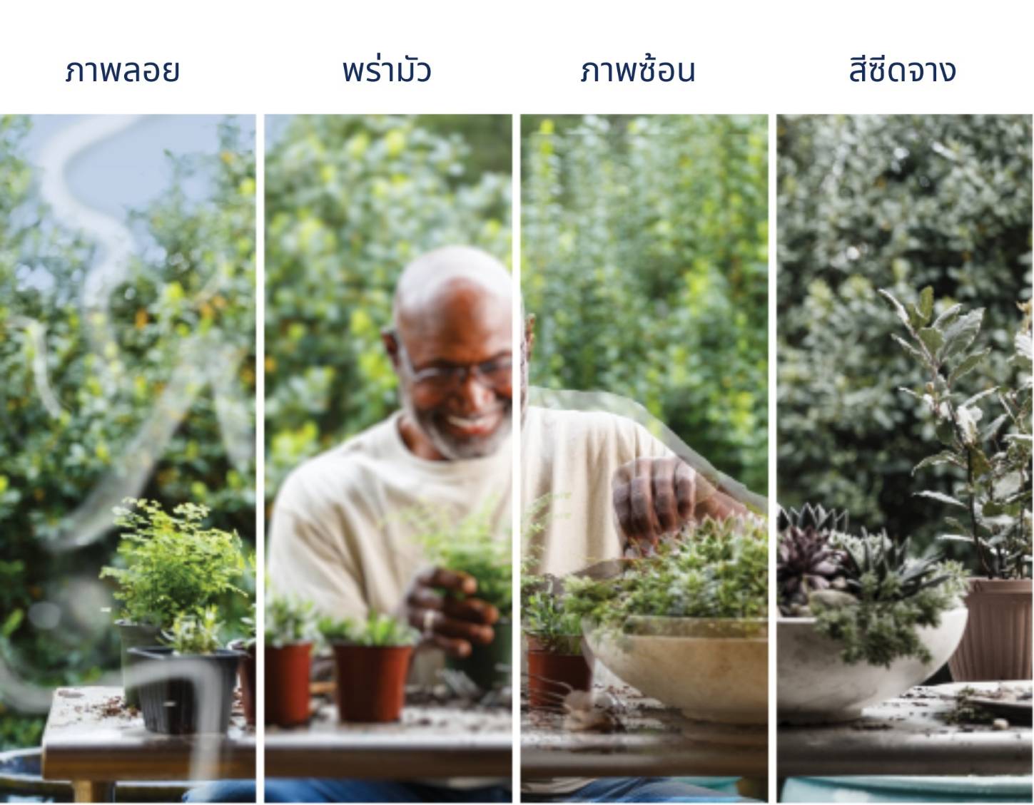 ตาพร่ามัว...อย่าชะล่าใจ วันเบาหวานโลก 2567 