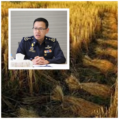 คปภ.เห็นชอบแบบกรมธรรม์ประกันภัยข้าวนาปี 2560 แล้ว พร้อมเร่งขับเคลื่อนช่วยเหลือชาวนาไทยตามนโยบายรัฐบาล