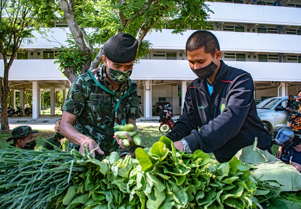 ค่ายโสณบัณฑิตย์ นำผลผลิตทางการเกษตร ใน "โครงการทหารพันธุ์ดี" ออกขายราคาถูก