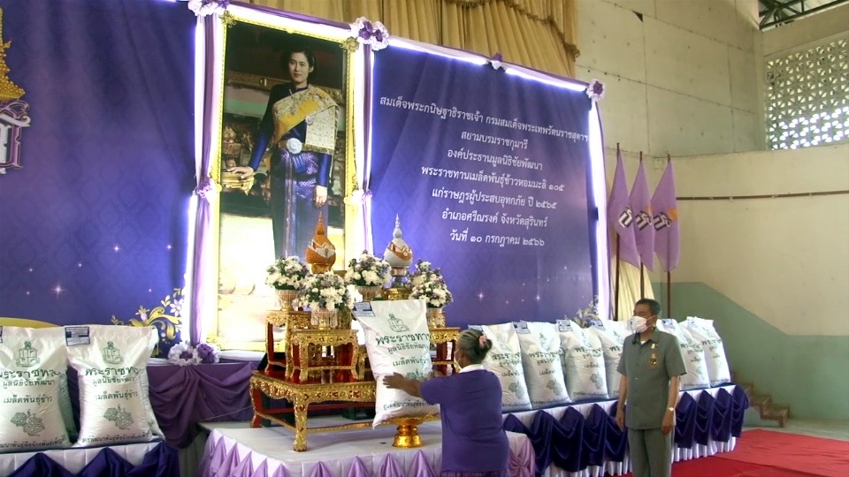 กรมสมเด็จพระเทพฯ พระราชทานเมล็ดพันธุ์ข้าวหอมมะลิ 105 แก่เกษตรกรและราษฎรผู้ประสบภัยใน จ.สุรินทร์