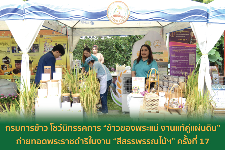 กรมการข้าว โชว์นิทรรศการ “ข้าวของพระแม่ งานแท้คู่แผ่นดิน” ถ่ายทอดพระราชดำริในงาน “สีสรรพรรณไม้ฯ” ครั้งที่ 17