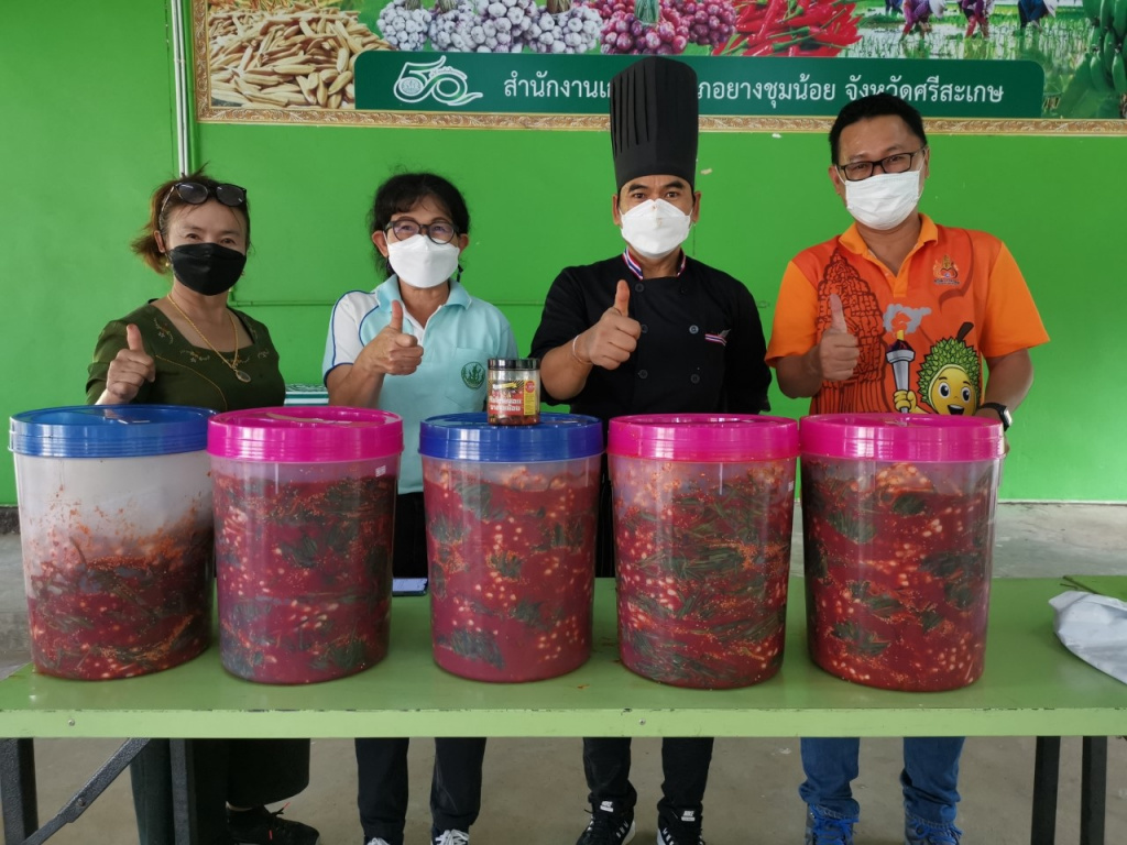ก้าวผ่านวิกฤตโควิด!! สภาเกษตรกรศรีสะเกษ ต่อยอดผลผลิตเกษตรกร "กิมจิต้นหอมยางชุมน้อย-แปรรูปกบ" 