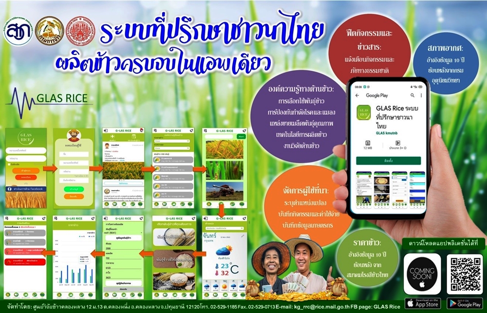 กรมข้าว ซุ่มพัฒนาแอพพลิเคชั่น “ระบบที่ปรึกษาชาวนาไทย” ช่วยชาวนาบริหารจัดการข้าวครบวงจรด้วยตัวเอง