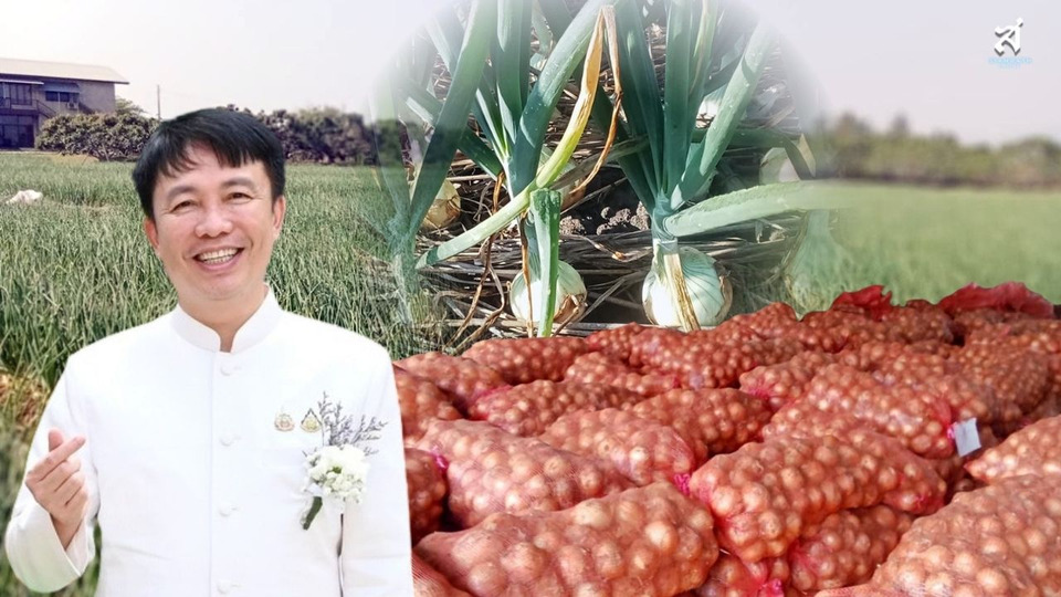 คิกออฟคาราวาน "หอมหัวใหญ่" 7 มี.ค. เครือข่ายสหกรณ์ทั่วไทยเร่งระบาย ช่วยพยุงราคา