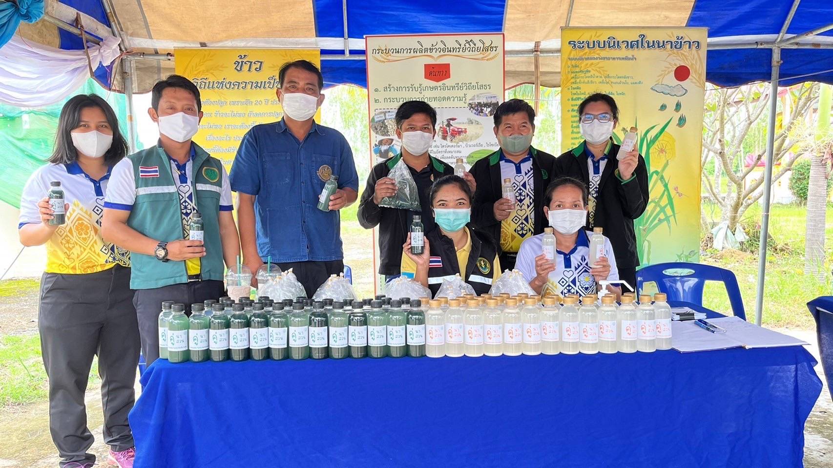 เกษตรอำเภอคำเขื่อนแก้วชูสารชีวภัณฑ์ ชุดคู่นา - คู่สวน ป้องกันกำจัดโรคและแมลงศัตรูพืช