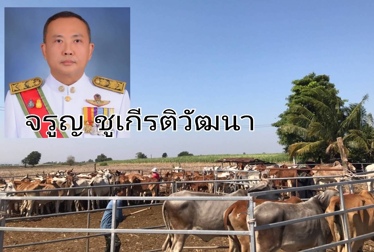 ปศุสัตว์ลพบุรี เร่งรณรงค์ฉีดวัคซีนป้องกันโรคลัมปี สกิน  ให้เกษตรกรผู้เลี้ยงโคเนื้อ อำเภอพัฒนานิคม