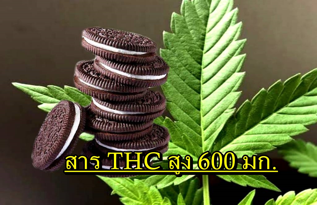 เตือนภัยผู้ปกครอง!! พบคุกกี้กัญชายี่ห้อดัง มีสาร THC สูงถึง 600 มก.