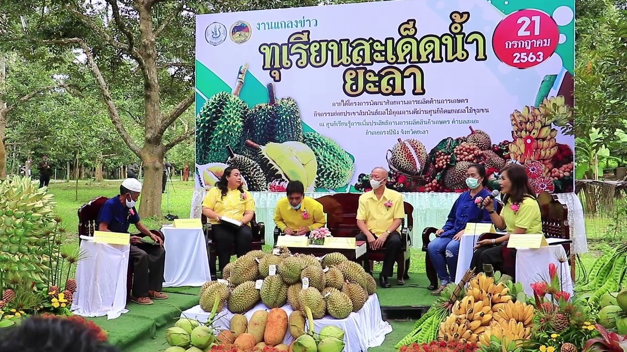  จังหวัดยะลา แถลงข่าว ทุเรียนสะเด็ดน้ำ  ภายใต้โครงการพัฒนาศักยภาพการผลิตด้านการเกษตร หนุนเกษตรกรพัฒนาคุณภาพ   