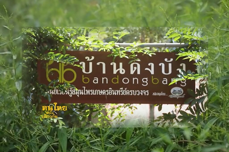 “พืชสมุนไพร” ภูมิปัญญาท้องถิ่นไทยสู่สากล