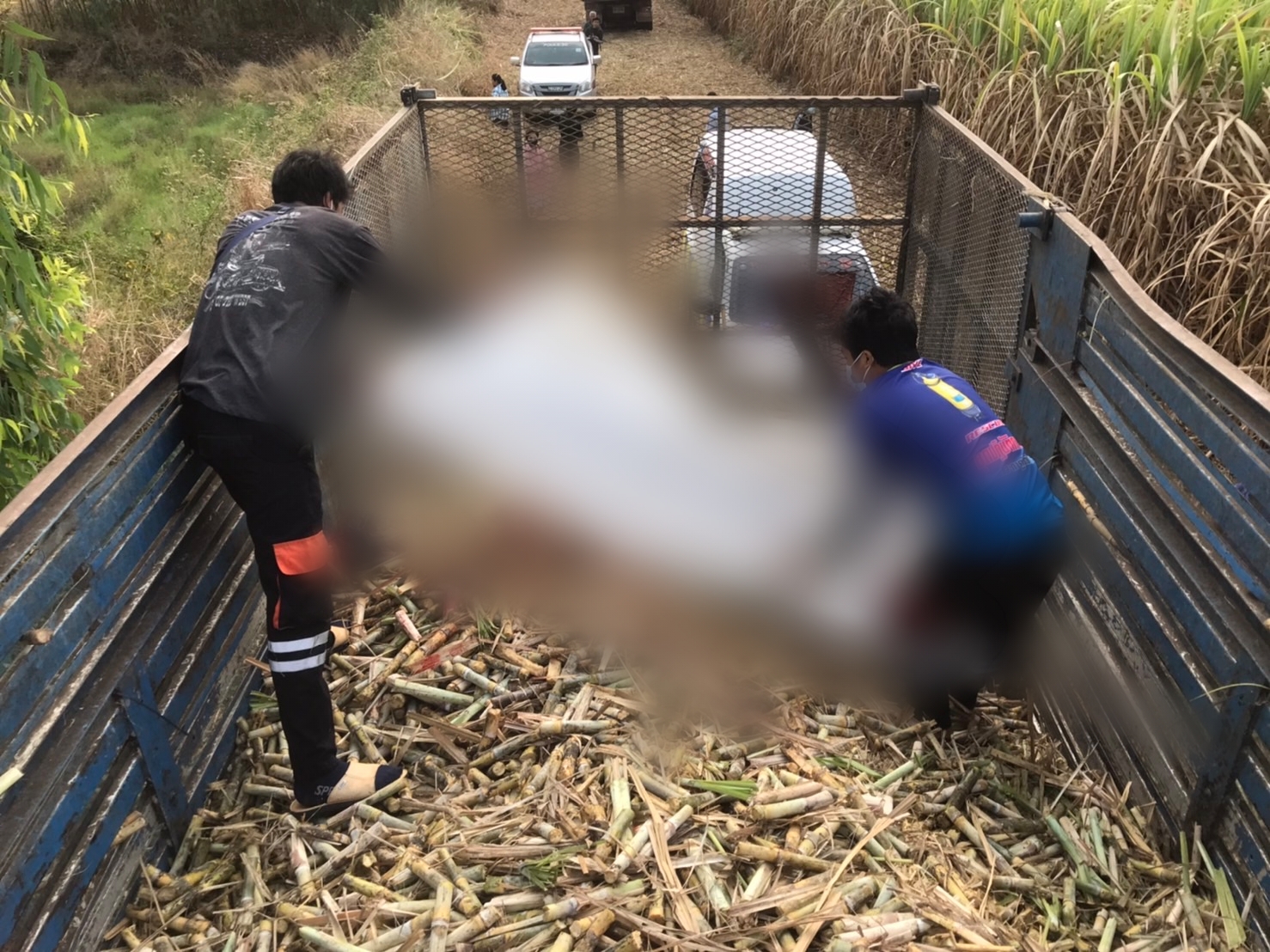 รถรับจ้างตัดอ้อย​ ดูดร่างหนุ่มคนงาน​ เครื่องจักรสับเละทั้งตัว​ ดับสยอง 