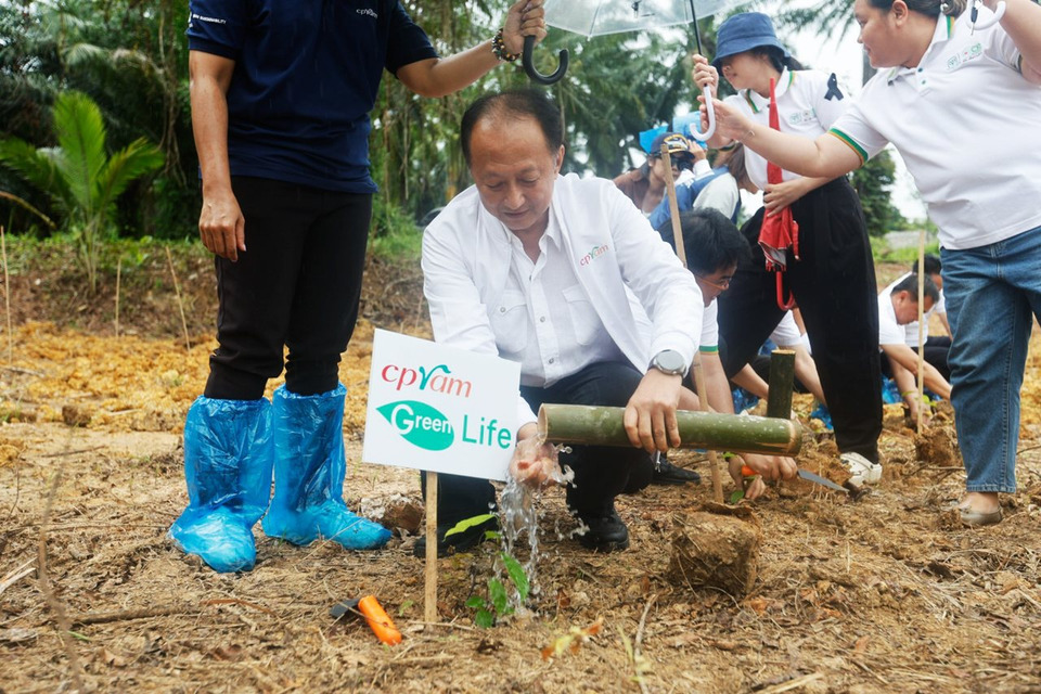 ซีพีแรม เดินหน้าปลูกป่าเพื่อโลกยั่งยืน ปีที่ 12 ลุยเป้า Net Zero ปี 2050