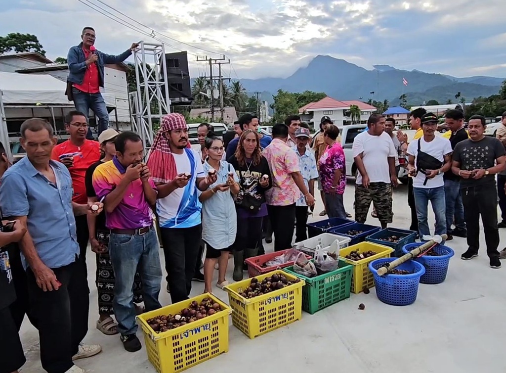 ชาวสวนมังคุดมึนไม่รู้จุดรับซื้อ หลังรัฐมนตรีพาณิชย์ฟุ้งระดมเอกชนซื้อ 3 พันตัน