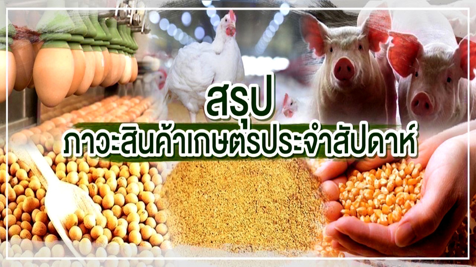 สรุปภาวะสินค้าเกษตรสัปดาห์นี้ 5–9 ม.ค.69 ข้าวร่วง ข้าวโพด-สุกร-ไก่ ไข่ ราคาทรงตัว