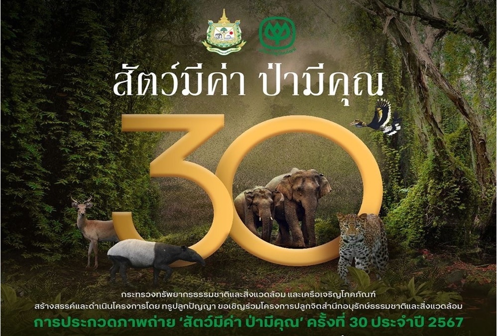 ทส. ร่วมกับ เครือเจริญโภคภัณฑ์ ชวนคนไทยมองผ่านเลนส์สะท้อนคุณค่าความงดงามของธรรมชาติ ประกวดภาพถ่าย ‘สัตว์มีค่า ป่ามีคุณ’ ประจำปี 67