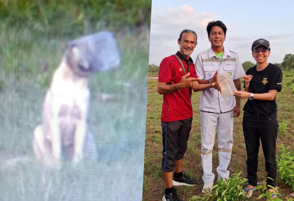 1 ชีวิตมีค่า!! นาทีช่วยน้องหมาจรจัด หัวติดในกระป๋องพลาสติกใสนานถึง 7 วัน 