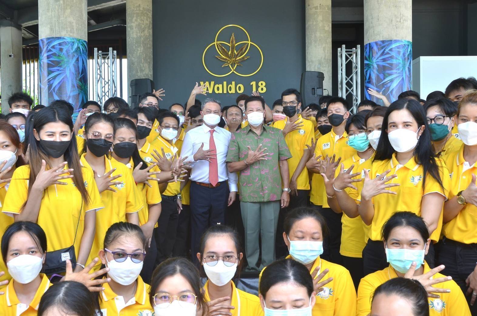 ปลดล็อกกัญชา!!  "609 Life Goes On" เปิดตำนานกัญชาไทยสู่กัญชาโลก
